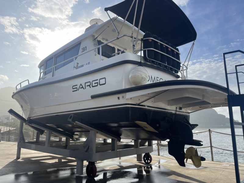 SARGO 31
