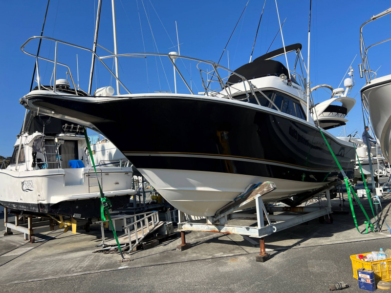 ヤマハ Y-31コンバーチブル 