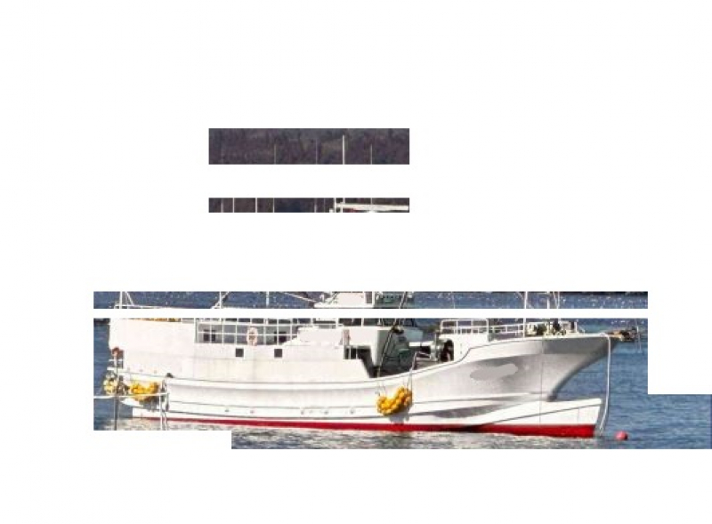 その他メーカー(国内) 漁船 NO,060210　刺し網船　敷網船　個人造船（9．7t）－60尺　2級