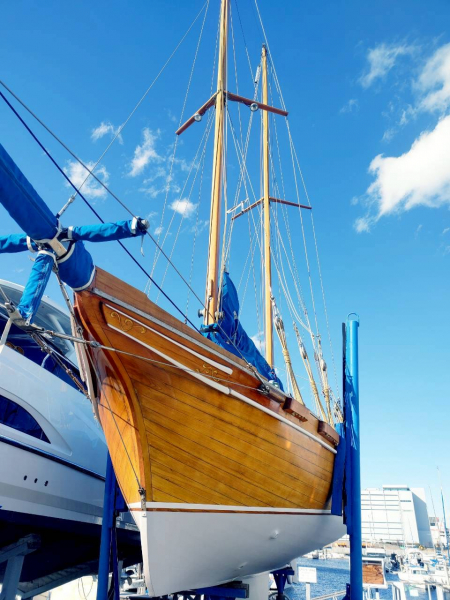 サノ サノマジック 8.8 