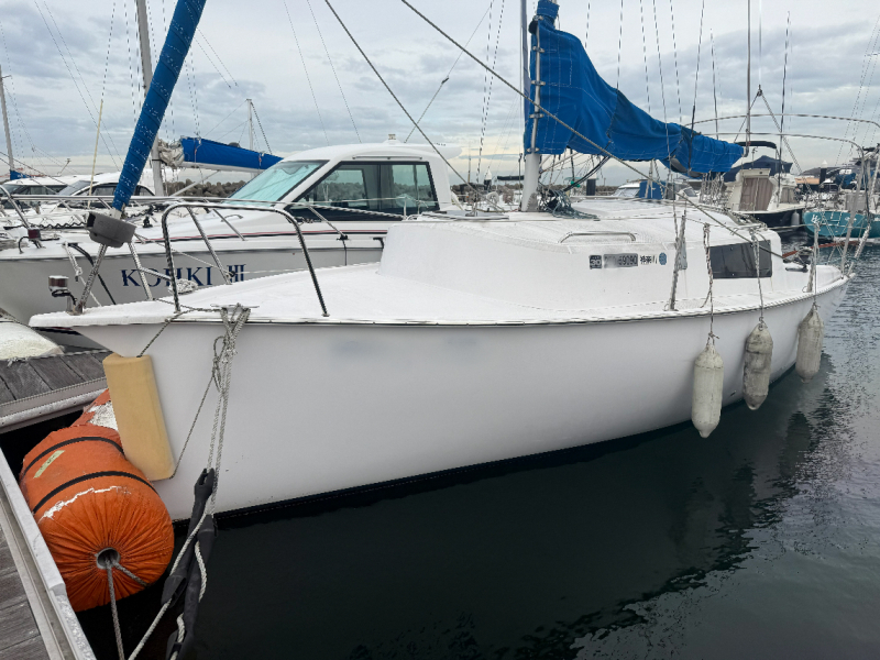 青木ヨット ZEN24 
