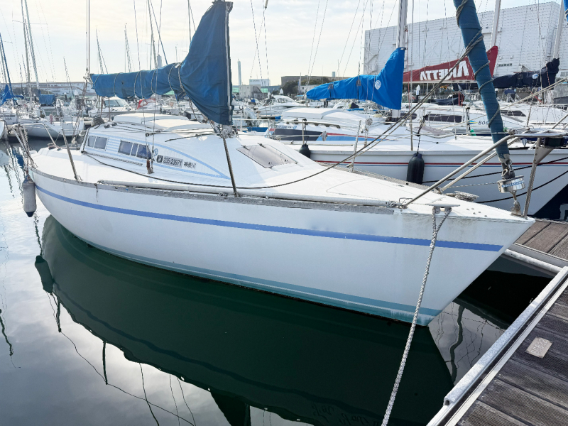 ヤマハ Y-25Ⅱマイレディ EX