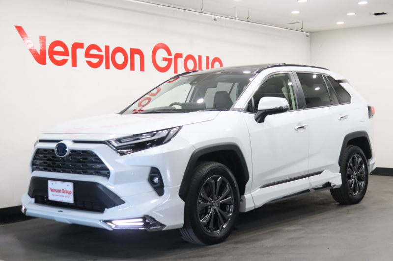 トヨタ RAV4 ハイブリッドG　新車保証継承付　パノラマルーフ　モデリスタエアロ　デジタルインナーミラー　全周囲カメラ　メモリーナビ　フルセグ　セーフティセンス　ETC　ベンチレーション　LEDライト　パワーバックドア　18AW