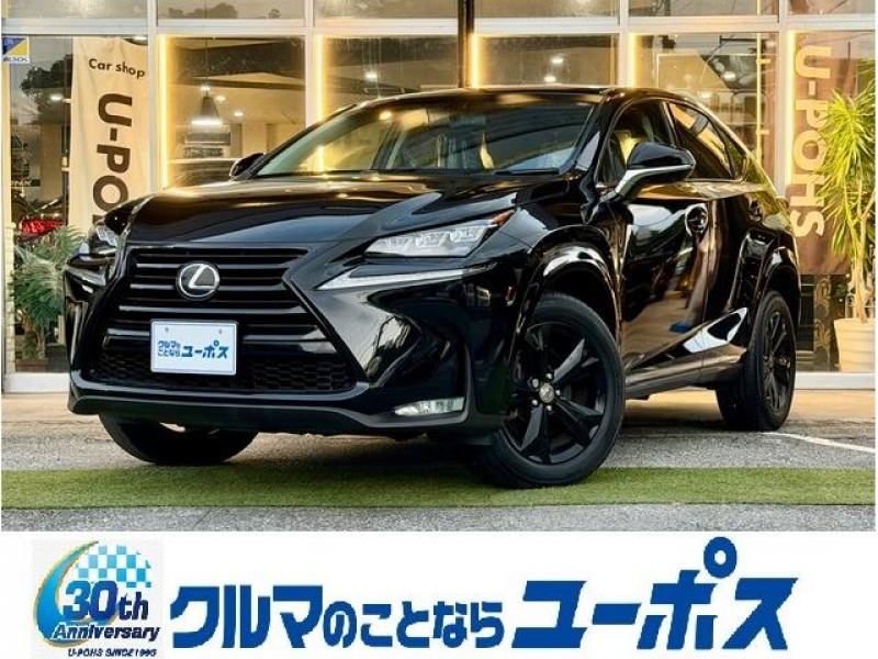 レクサス NX NX200t Iパッケージ　OP5年保証対象車　純正メモリーナビ　バックカメラ　コーナーセンサー　電動リアゲート　ETC